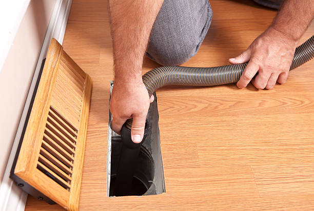 Air Duct Mold Removal in Triangle, VA